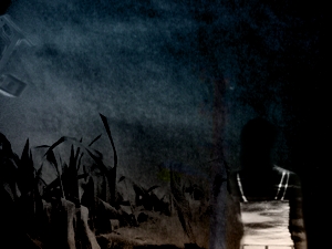 transition019